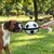 FLAMINGO - Ballon de football matchball pour chien 20 cm