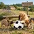 TOWA - Ballon de football pour chien - 19 cm