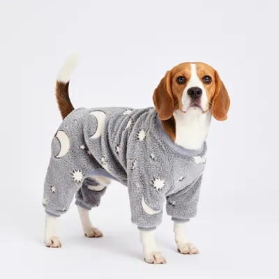 FERRIBIELLA Pyjama en Pilou Phosphorescent pour Chien - Chaleur Confort No…