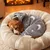 FERRIBIELLA Pyjama en Pilou Phosphorescent pour Chien - Chaleur Confort No…