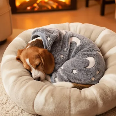 FERRIBIELLA Pyjama en Pilou Phosphorescent pour Chien - Chaleur Confort No…