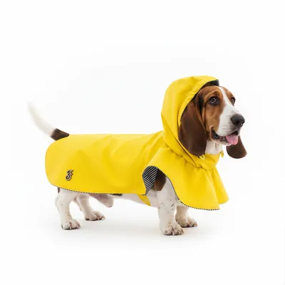 FERRIBIELLA Cape Pluie Chien Imperméable Vent - Jaune