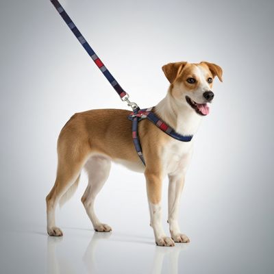 FERRIBIELLA Harnais Chien Cuir Réglable Confort - Tartan