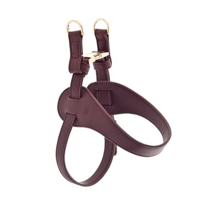 FERRIBIELLA Harnais pour chien - Confort réglable et ajustement sûr en cui…