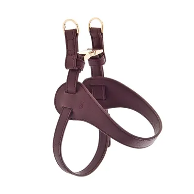 FERRIBIELLA Harnais pour chien - Confort réglable et ajustement sûr en cui…