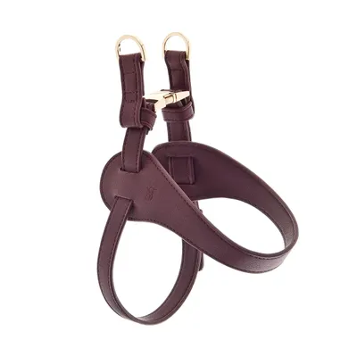FERRIBIELLA Harnais pour chien - Confort réglable et ajustement sûr en cui…
