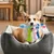 FERRIBIELLA Lot 3 Jouets Mastication Dentaire - Multicolore