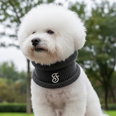 FERRIBIELLA Cache-Cou Chien Doux & Chaud Hiver - Gris