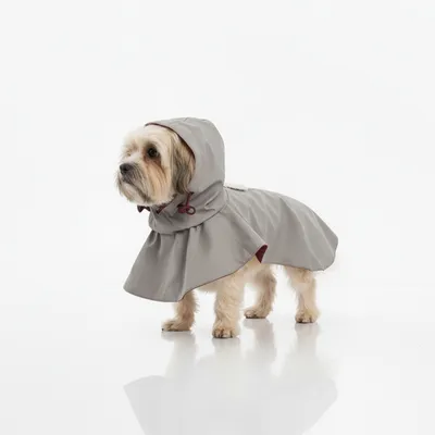 FERRIBIELLA Cape Pluie Chien Imperméable Vent - S