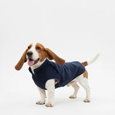 FERRIBIELLA Trench Chien Élégant Imperméable Vent - Bleu / 36cm