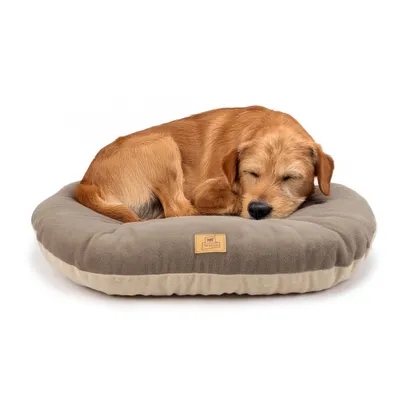 Ferplast - Coussin pour Chien - RELAX MICROFLEECE