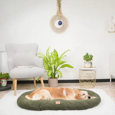Ferplast - Coussin pour chiens et chats - RELAX MICROFLEECE