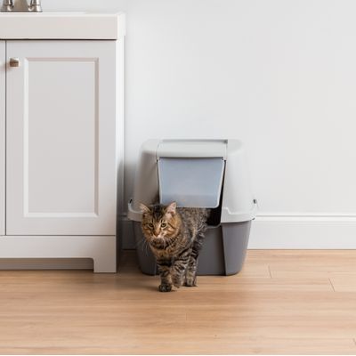 Grande maison de Toilette pour Chat avec Pelle, Capot détachable