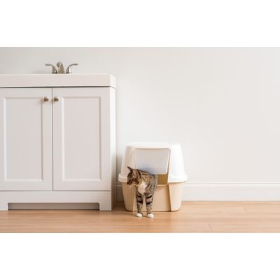 Grande maison de Toilette pour Chat avec Pelle, Capot détachable