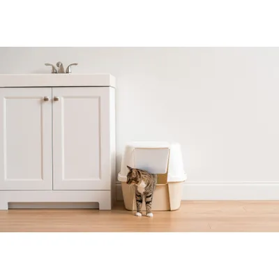 Grande maison de Toilette pour Chat avec Pelle, Capot détachable