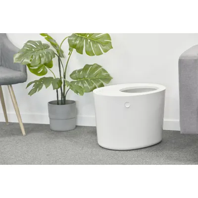 Maison de Toilette pour Chat avec Pelle, Max 7 kg, Ouverture en Haut