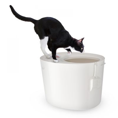 Maison de Toilette pour Chat avec Pelle, Max 7 kg, Ouverture en Haut