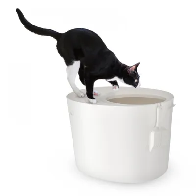 Maison de Toilette pour Chat avec Pelle, Max 7 kg, Ouverture en Haut