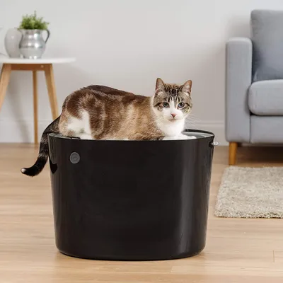 Maison de Toilette pour Chat avec Pelle, Max 7 kg, Ouverture en Haut