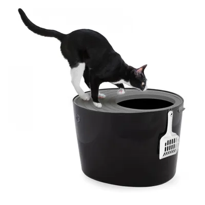 Maison de Toilette pour Chat avec Pelle, Max 7 kg, Ouverture en Haut