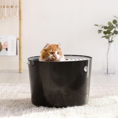 Maison de Toilette pour Chat avec Pelle, Max 7 kg, Ouverture en Haut