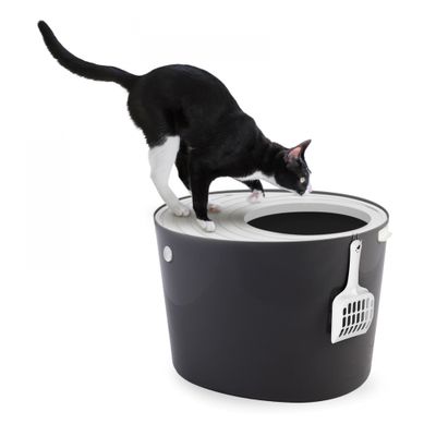 Maison de Toilette pour Chat avec Pelle, Max 7 kg, Ouverture en Haut