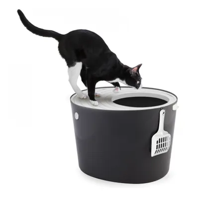 Maison de Toilette pour Chat avec Pelle, Max 7 kg, Ouverture en Haut
