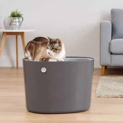 Maison de Toilette pour Chat avec Pelle, Max 7 kg, Ouverture en Haut