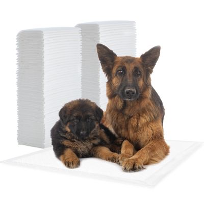 Alaise pour chiens et chiots, protections pour déjections canines