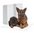 L90 x P59 cm - Lot de 100