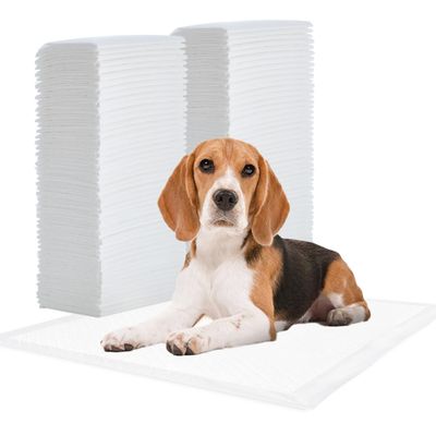 Alaise pour chiens et chiots, protections pour déjections canines