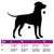 vidaXL Harnais pour chien - Réglable, anti-traction