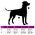 vidaXL - Harnais pour chien - Harnais réglable