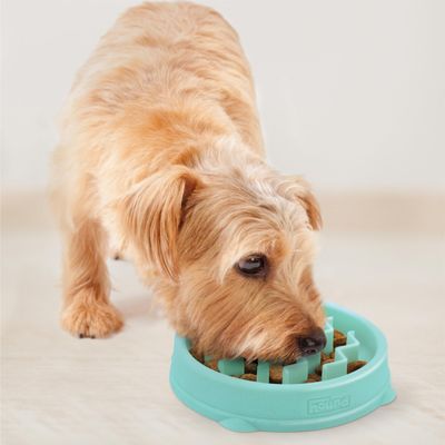 Outward Hound - Mangeoire lente pour chiens Slo Bowl