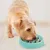Outward Hound - Mangeoire lente pour chiens Slo Bowl Outward Hound - Mangeoire lente pour chiens Slo Bowl