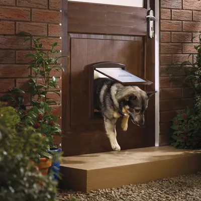 PetSafe - Porte pour chiens - 2 voies 755 Medium