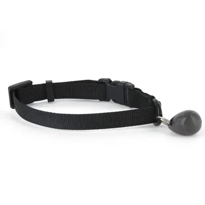 PetSafe Clé magnétique collier 480