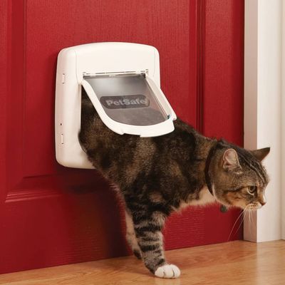 PetSafe Clé magnétique collier 480