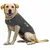ThunderShirt - Manteau Anti-stress - Manteau Anti-tre pour Chien ThunderShirt - Manteau Anti-stress - Manteau Anti-tre pour Chien