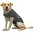 XL - Gris