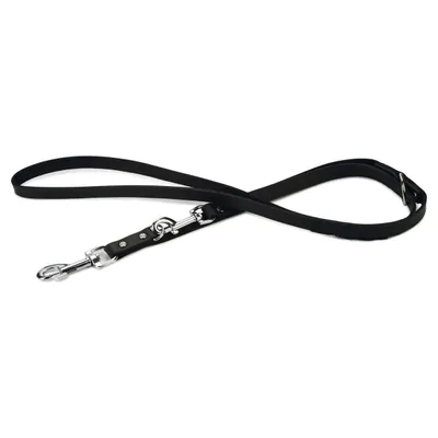 Beeztees Hundeleine Leder, verstellbar schwarz