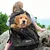 Kurgo - Sac à dos pour chien - G-Train K9 Kurgo - Sac à dos pour chien - G-Train K9