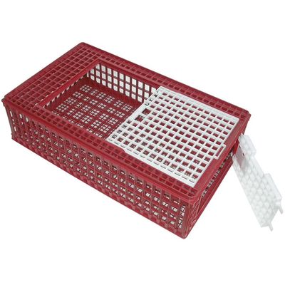 Kerbl - Boîte de transport - Volaille 95x57x24 cm