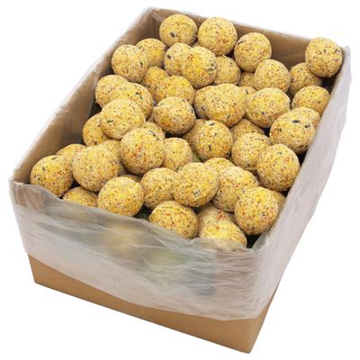 vidaXL - Boule de graisse d'oiseau - 200 pièces 90g