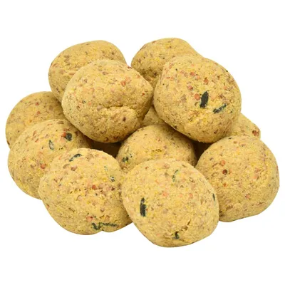 vidaXL - Boule de graisse d'oiseau - 200 pièces 90g