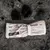 Jouet Chien Interactif - Journal de Fouille