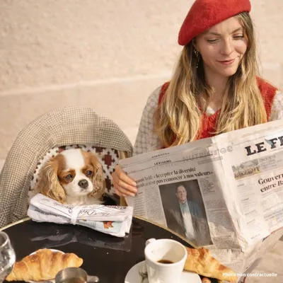 Jouet Chien Interactif - Journal de Fouille