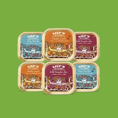 LILY'S KITCHEN - Getreidefreies Hundefutter, Multipack 6 x 150 g - Huhn, F