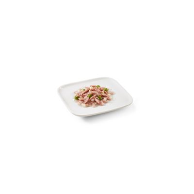 Schesir - Aliment Complémentaire Chien - Bouillon 85g