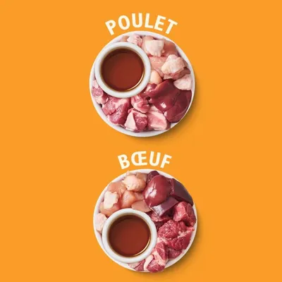LILY'S KITCHEN - Pâtée Chat Sans Céréales Multipack